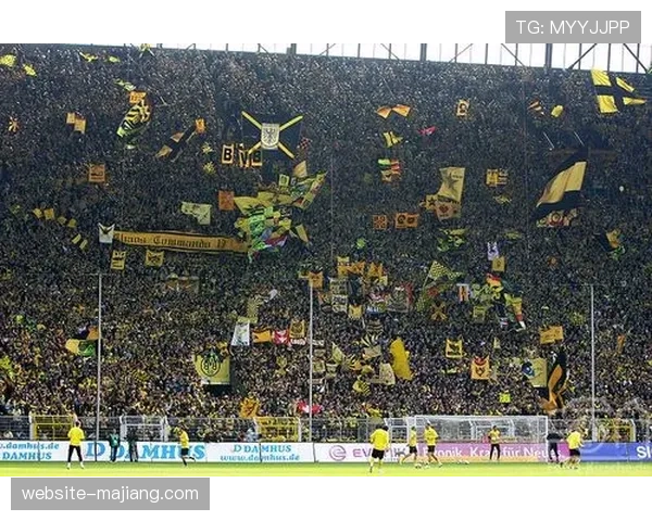 纪录片《威斯特法伦的脉搏》播出,聚焦多特蒙德南看台文化 纪录片《威斯特法伦的脉搏》播出,聚焦多特蒙德南看台文化